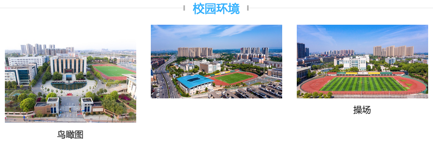 1705912553166431.png 图片.png